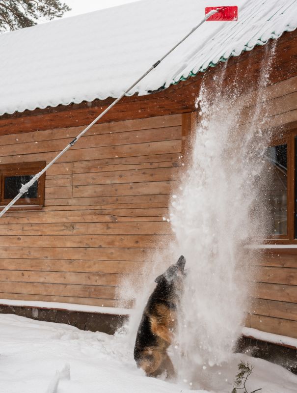 Weather-Resistant Roofs